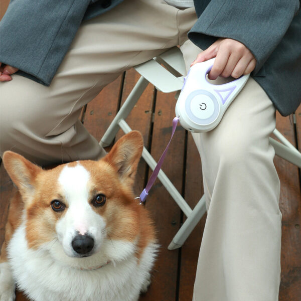 Retractable Leash And Dog Collar Spotlight Automatic Pet Traction Rope - Image 2